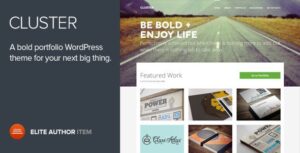 Cluster wordPress Theme