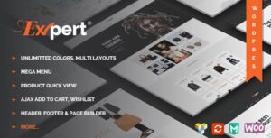 Expert WordPress Theme