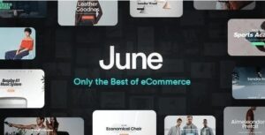 June WordPress Theme