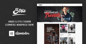 Striz WordPress Theme