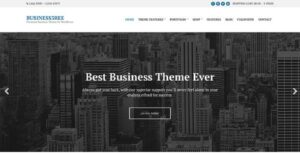 Business3ree WordPress Theme