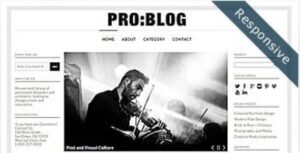 Pro Blog Responsive Premium WordPress Theme