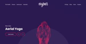 Vigour WordPress Theme