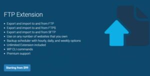 All In One WP Migration FTP Extension