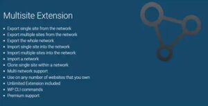 All In One WP Migration Multisite Extension