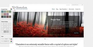 Chameleon Premium WordPress Theme