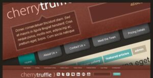 CherryTruffle Premium WordPress Theme