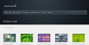 Envisioned Premium WordPress Theme