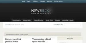 eNews Premium WordPress Theme