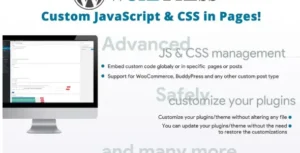 Custom JavaScript & CSS in Pages!