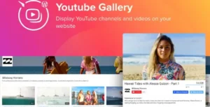 WordPress YouTube Gallery Plugin