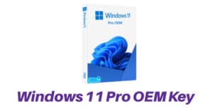 Windows 11 Pro OEM Key